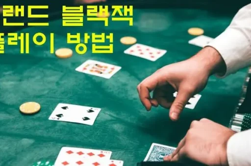 해외 온라인 카지노의 매력과 주의사항 (2)